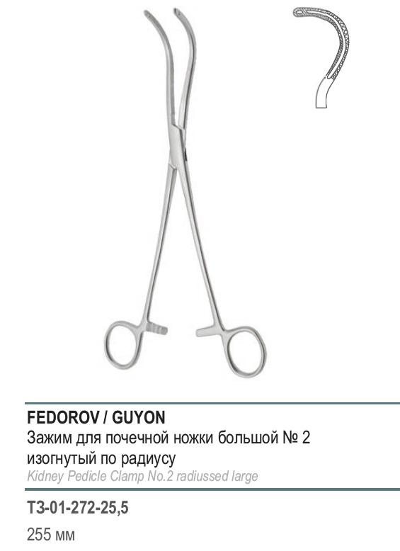 ФЕДОРОВА/GUYON, для почечной ножки, изогнутый по радиусу, большой, №2, 255 мм (З-26р)